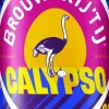 Hot Brouwerij 't IJ Calypso Session