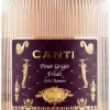 New Canti Pinot Grigio Friuli