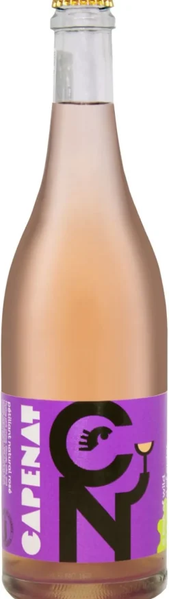 Hot Bird in Hand Cape Nat Rose