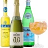 Online Gall & Gall Cocktailpakket Limonzero Spritz
