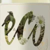 New Eco Sauvignon Blanc Organic