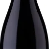 Hot Errazuriz Aconcagua Costa Pinot Noir