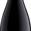 Online Errazuriz Aconcagua Cuvée Pinot Noir