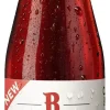 Discount Rodenbach Fruitage