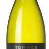 Hot Torres Fransola Sauvignon Blanc