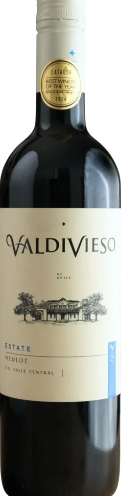 Discount Valdivieso Merlot